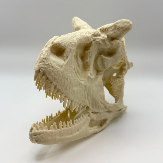 Carnotaurus skull replica, 3D printed in PLA — view 2