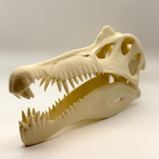 Spinosaurus skull replica, 3D printed in PLA — view 2
