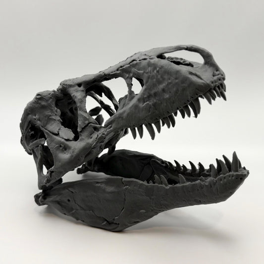 T-Rex skull replica (the Nation’s T. rex, MOR 555), 3D printed in PLA — view 2