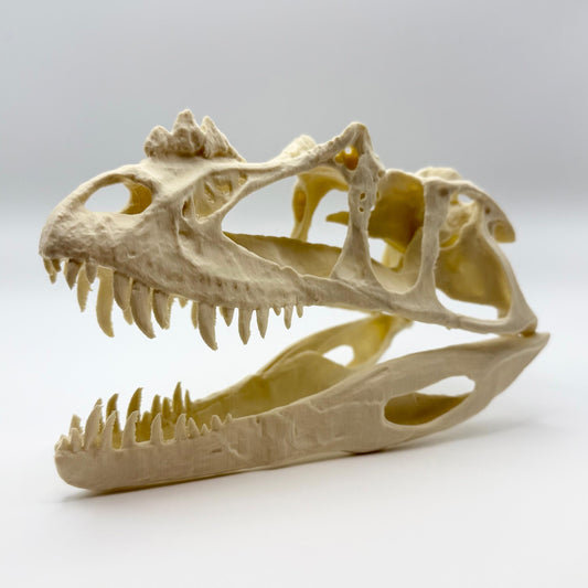 Ceratosaurus skull replica, 3D printed in PLA — view 2