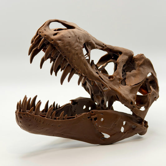 Stan T-Rex Skull Replica BHI 3033