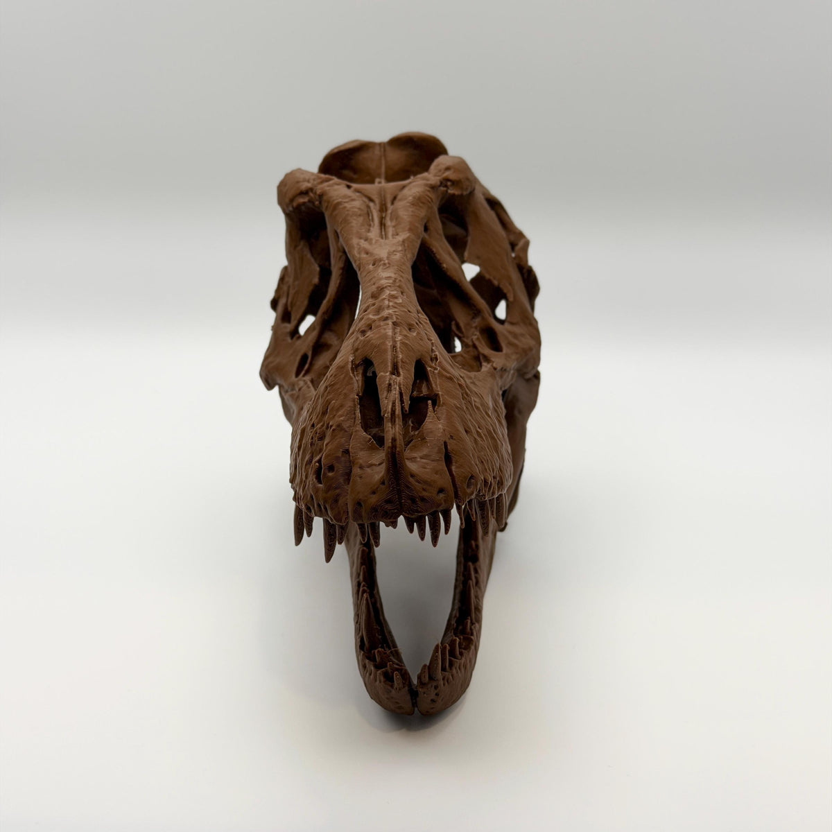 Trix T-Rex Skull Replica