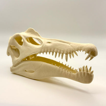 Spinosaurus skull replica, 3D printed in PLA — view 7
