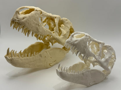 T-Rex skull replica (the Nation’s T. rex, MOR 555), 3D printed in PLA — view 4
