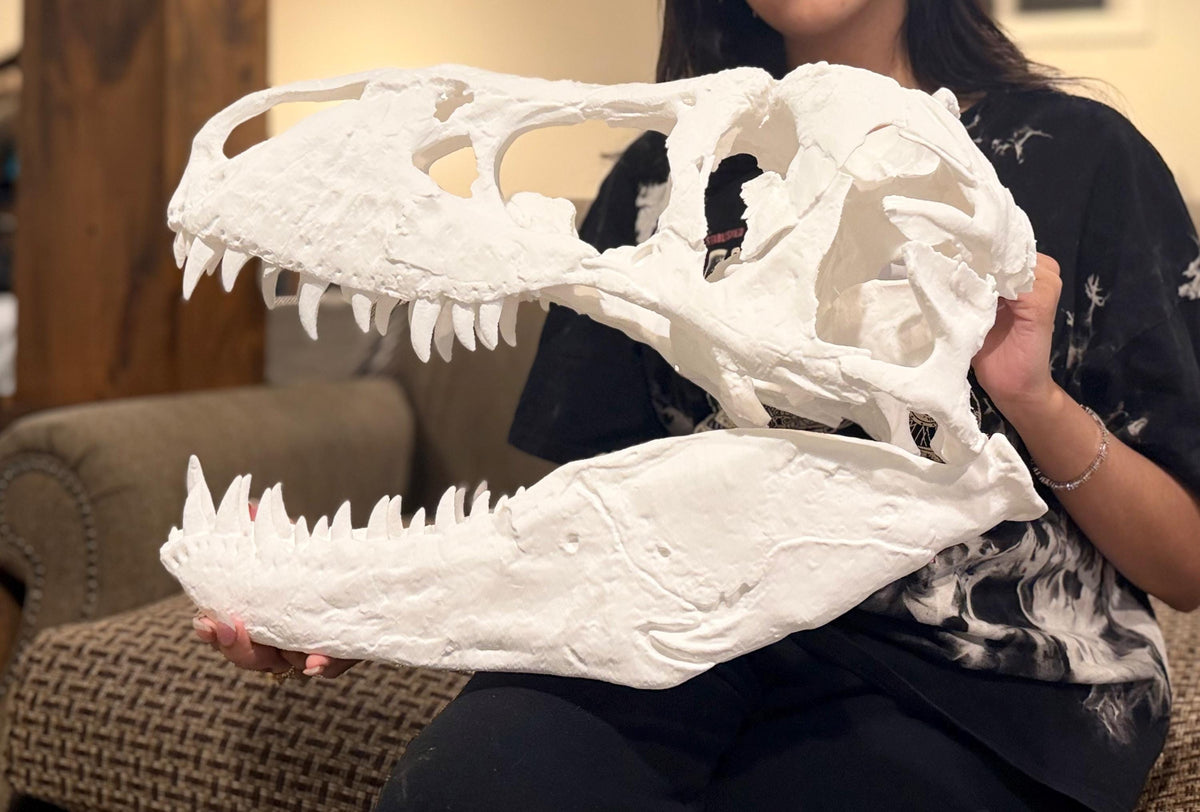 Big 1:3 T-Rex skull replica — the Nation’s T. rex (MOR 555) printed at 19 inches in PLA