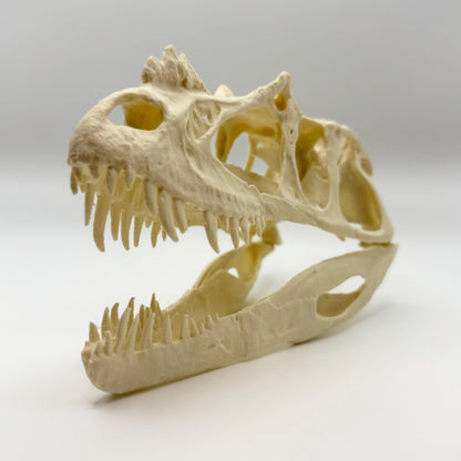 Ceratosaurus skull replica, 3D printed in PLA — view 5