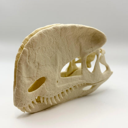 Stylised Dilophosaurus skull, 3D printed in PLA — view 5