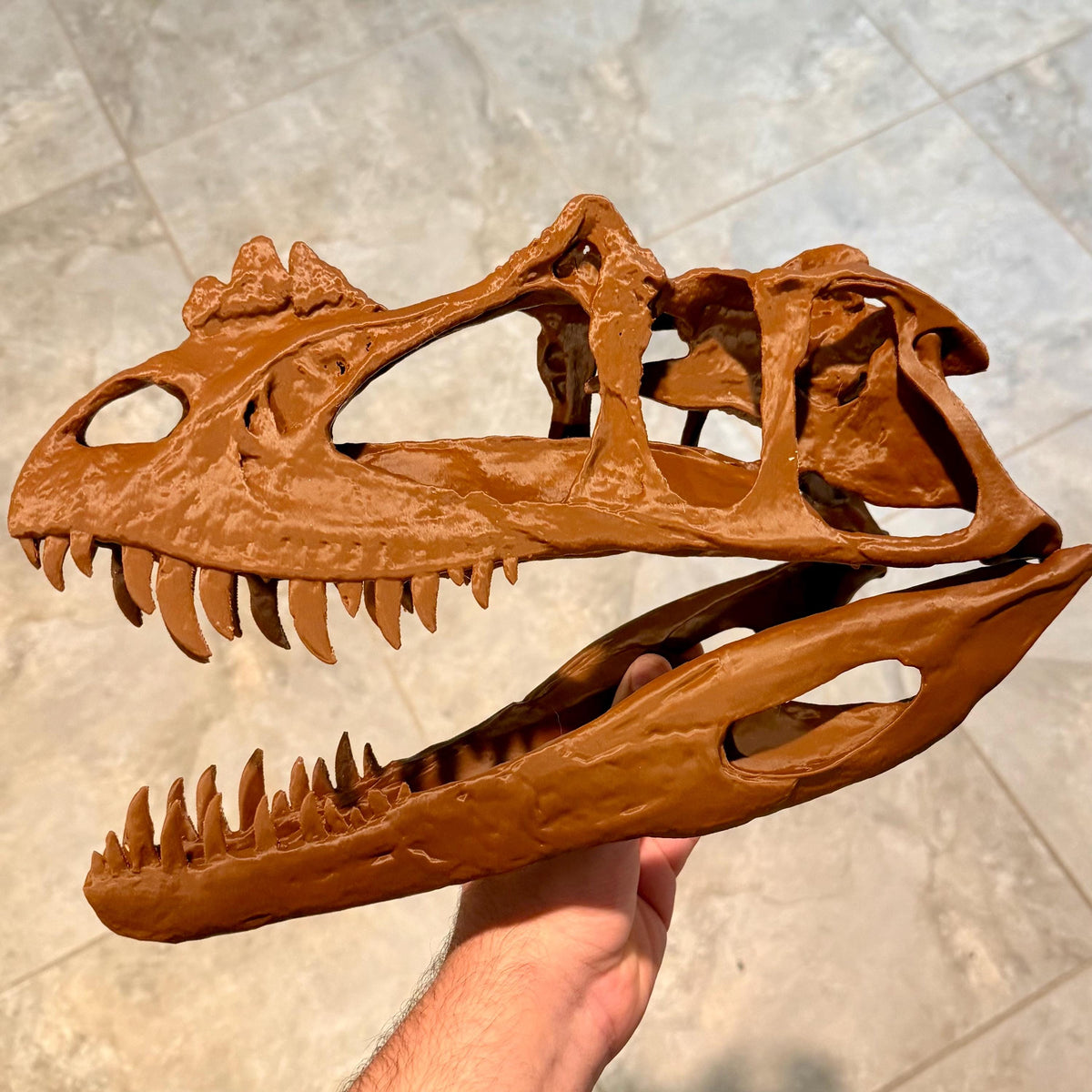 Ceratosaurus skull replica, 3D printed in PLA — view 6
