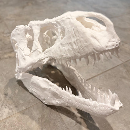 Big 1:3 T-Rex skull replica, 19 inches, 3D printed in PLA — view 5