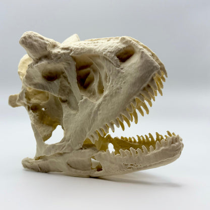 Carnotaurus skull replica, 3D printed in PLA — view 3