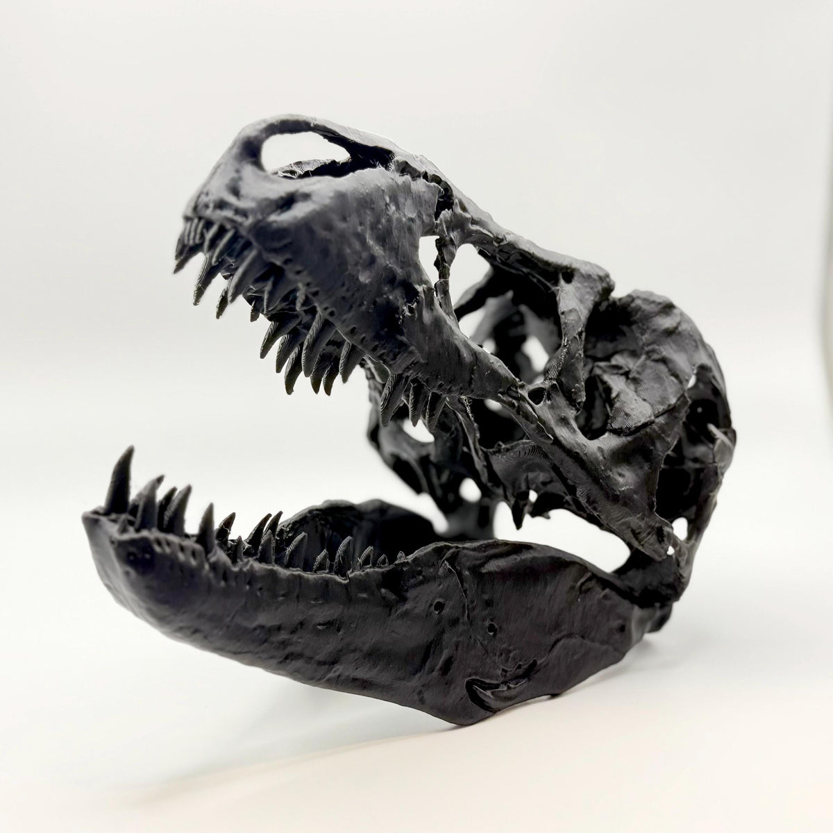 T-Rex skull replica (the Nation’s T. rex, MOR 555), 3D printed in PLA — view 5