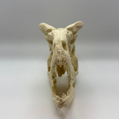 Carnotaurus skull replica, 3D printed in PLA — view 4