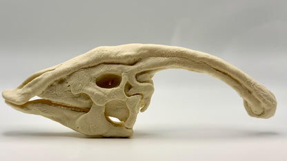 Parasaurolophus skull replica, 3D printed in PLA — view 4