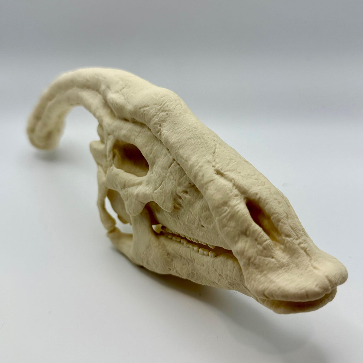 Parasaurolophus skull replica, 3D printed in PLA — view 2
