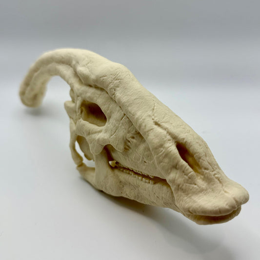 Parasaurolophus skull replica, 3D printed in PLA — view 2