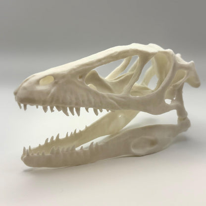 Raptor (Deinonychus) skull replica, 3D printed in PLA — view 5