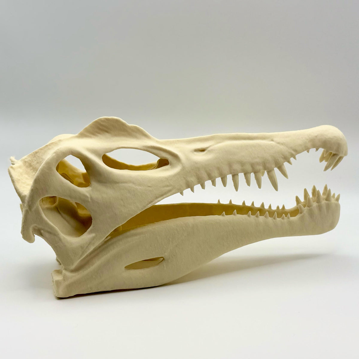 Spinosaurus skull replica, 3D printed in PLA — view 5