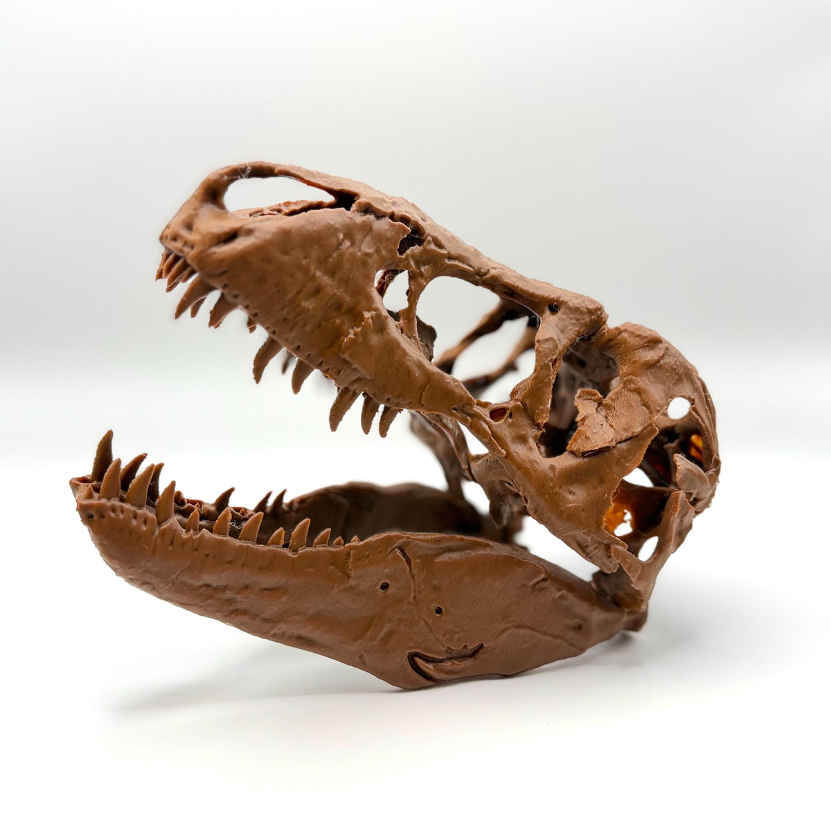 T-Rex skull replica (the Nation’s T. rex, MOR 555), 3D printed in PLA — view 3