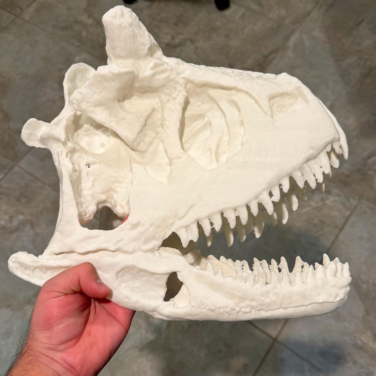 Carnotaurus skull replica, 3D printed in PLA — view 7