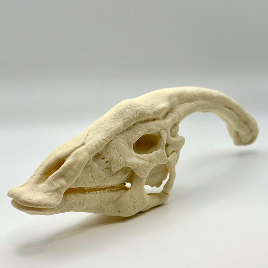 Parasaurolophus skull replica, 3D printed in PLA