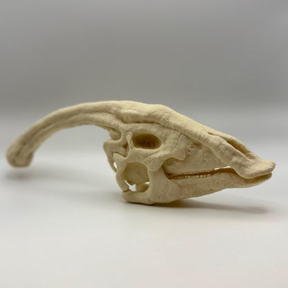 Parasaurolophus skull replica, 3D printed in PLA — view 3