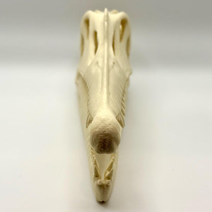 Spinosaurus skull replica, 3D printed in PLA — view 4