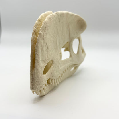 Stylised Dilophosaurus skull, 3D printed in PLA — view 2