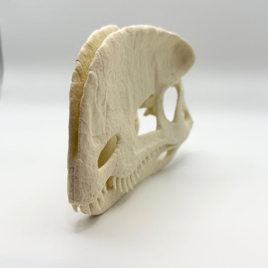 Stylised Dilophosaurus skull, 3D printed in PLA — view 2