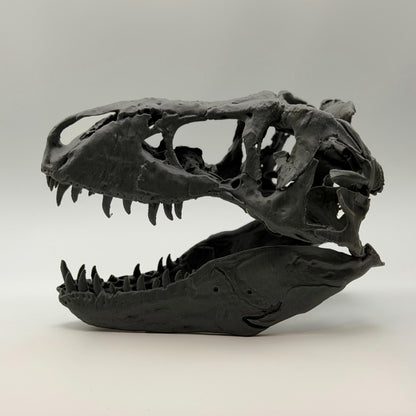 T-Rex skull replica (the Nation’s T. rex, MOR 555), 3D printed in PLA — view 8