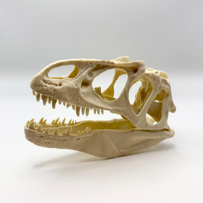 Allosaurus skull replica, 3D printed in PLA — view 4