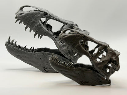 T-Rex skull replica (the Nation’s T. rex, MOR 555), 3D printed in PLA — view 10