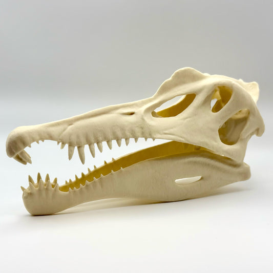 Spinosaurus skull replica, 3D printed in PLA