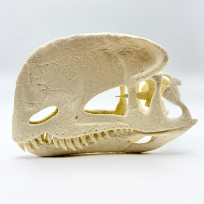 Stylised Dilophosaurus skull, 3D printed in PLA — view 4