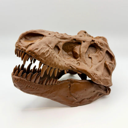 AMNH 5027 T-Rex Skull Replica