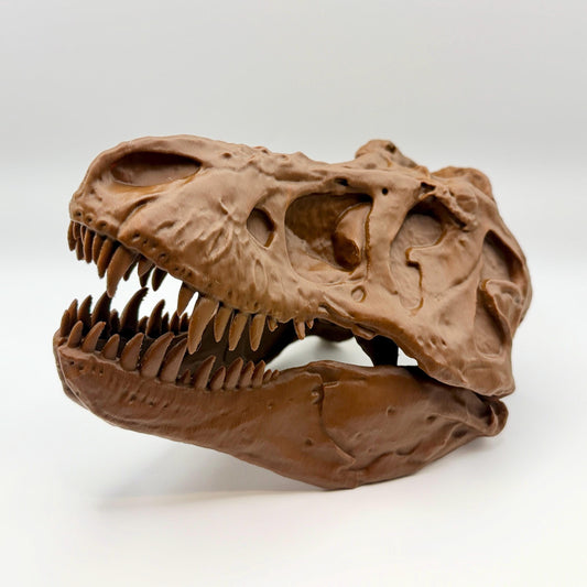 AMNH 5027 T-Rex Skull Replica