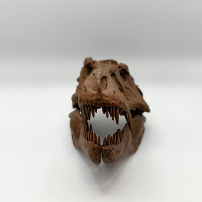 AMNH 5027 T-Rex Skull Replica