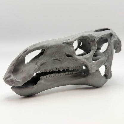 Iguanodon Skull Replica