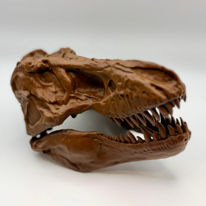 AMNH 5027 T-Rex Skull Replica