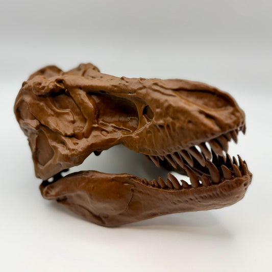 AMNH 5027 T-Rex Skull Replica