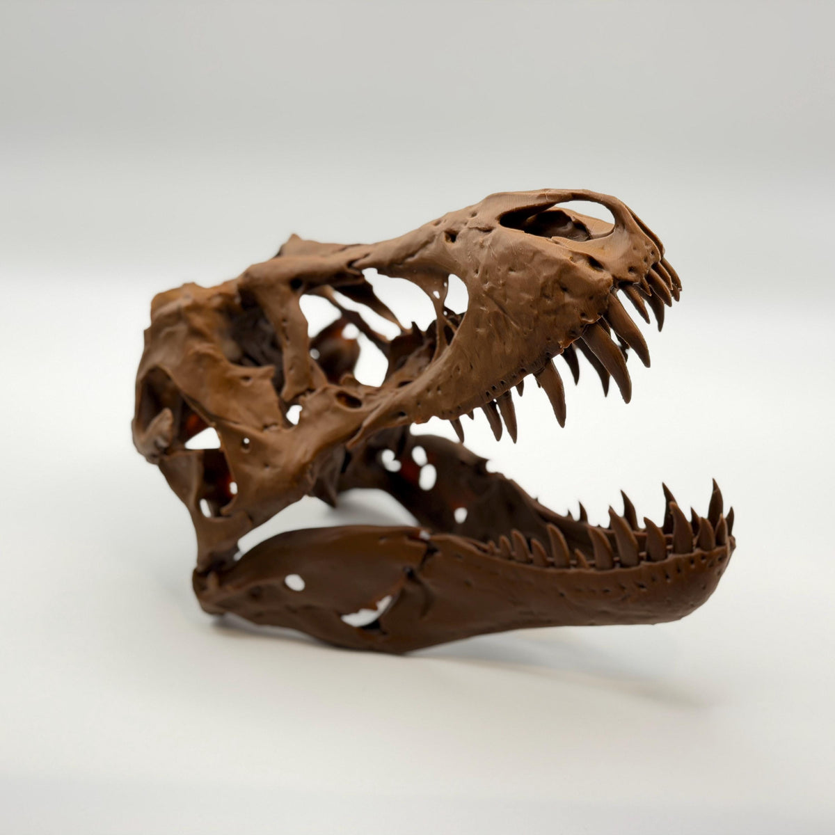 Stan T-Rex Skull Replica BHI 3033