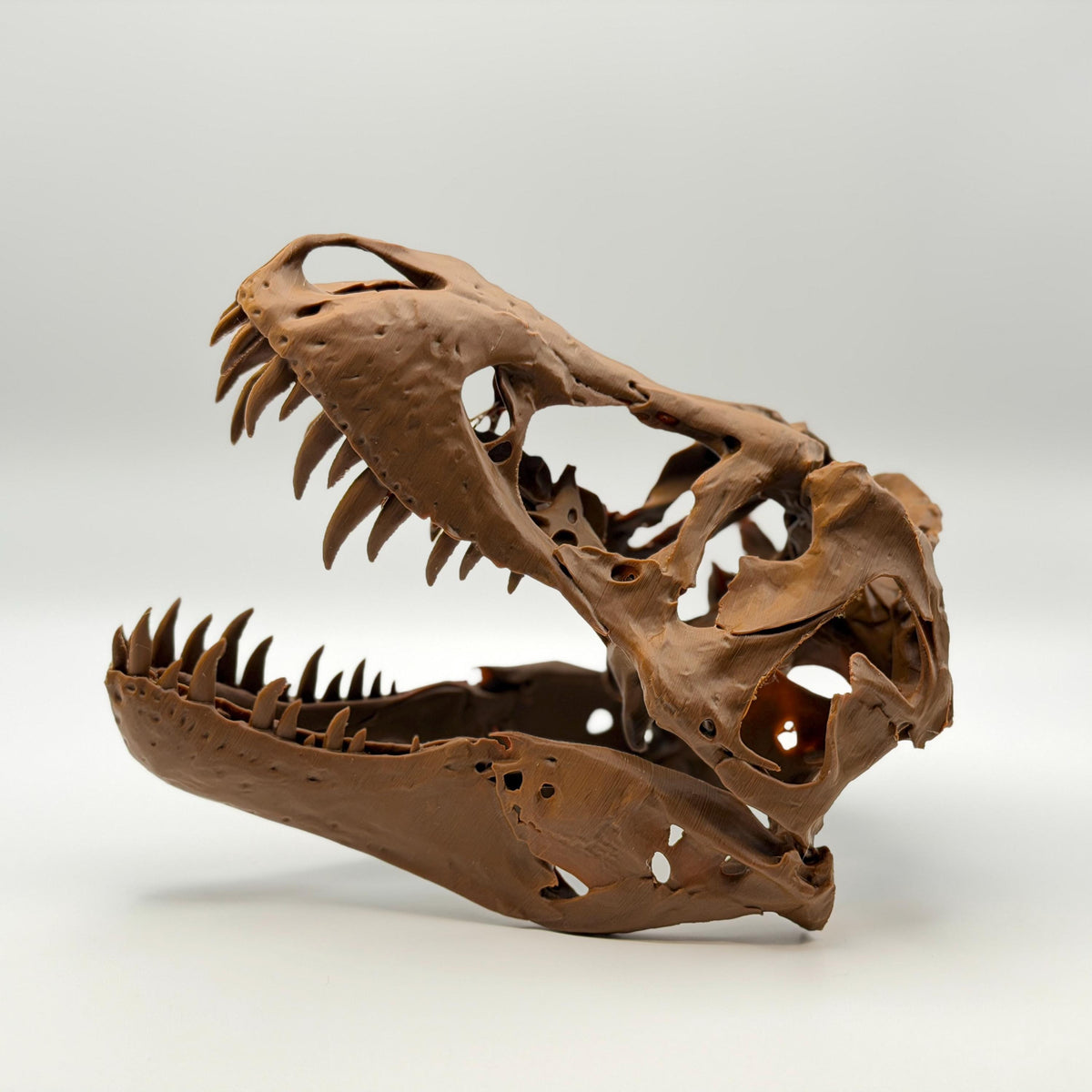 Stan T-Rex Skull Replica BHI 3033