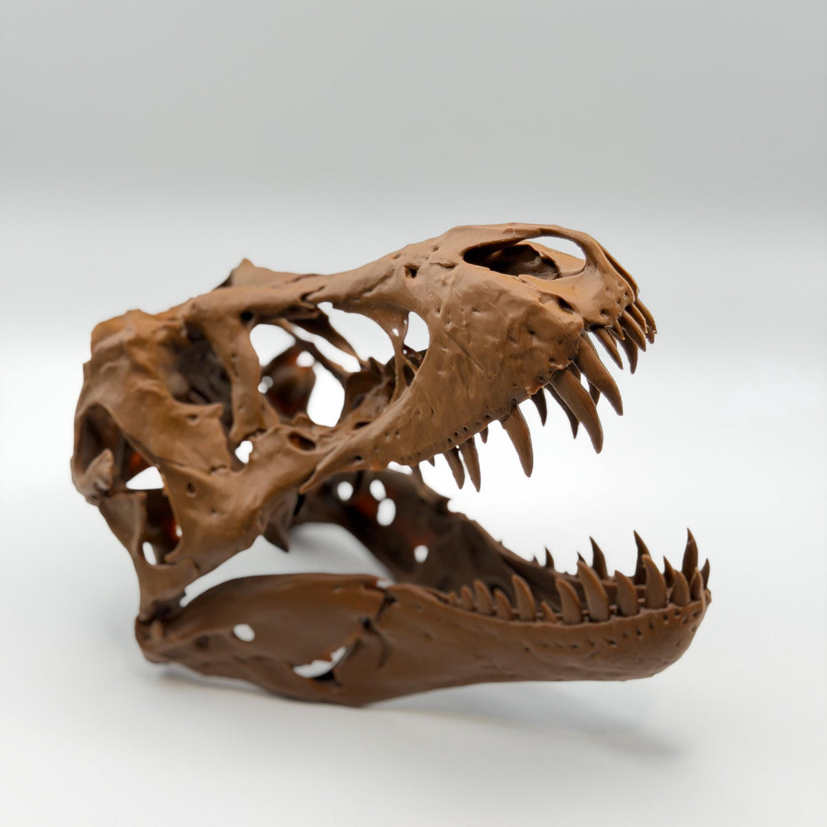 Stan T-Rex Skull Replica BHI 3033