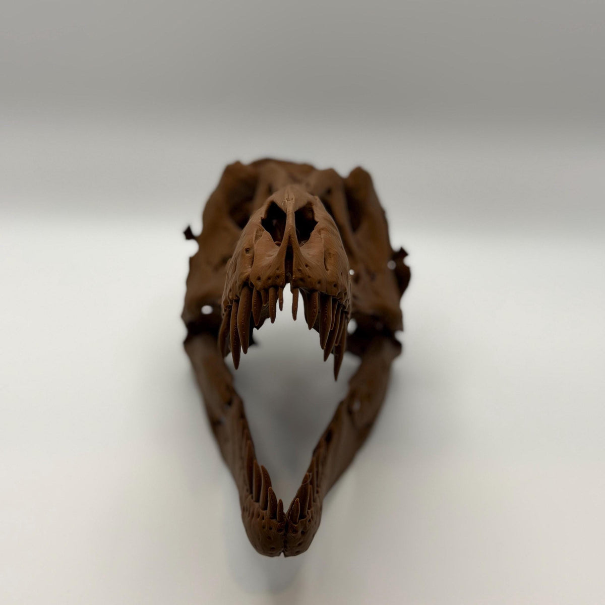 Stan T-Rex Skull Replica BHI 3033