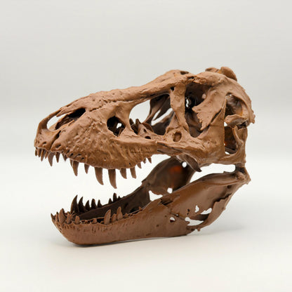 Trix T-Rex Skull Replica