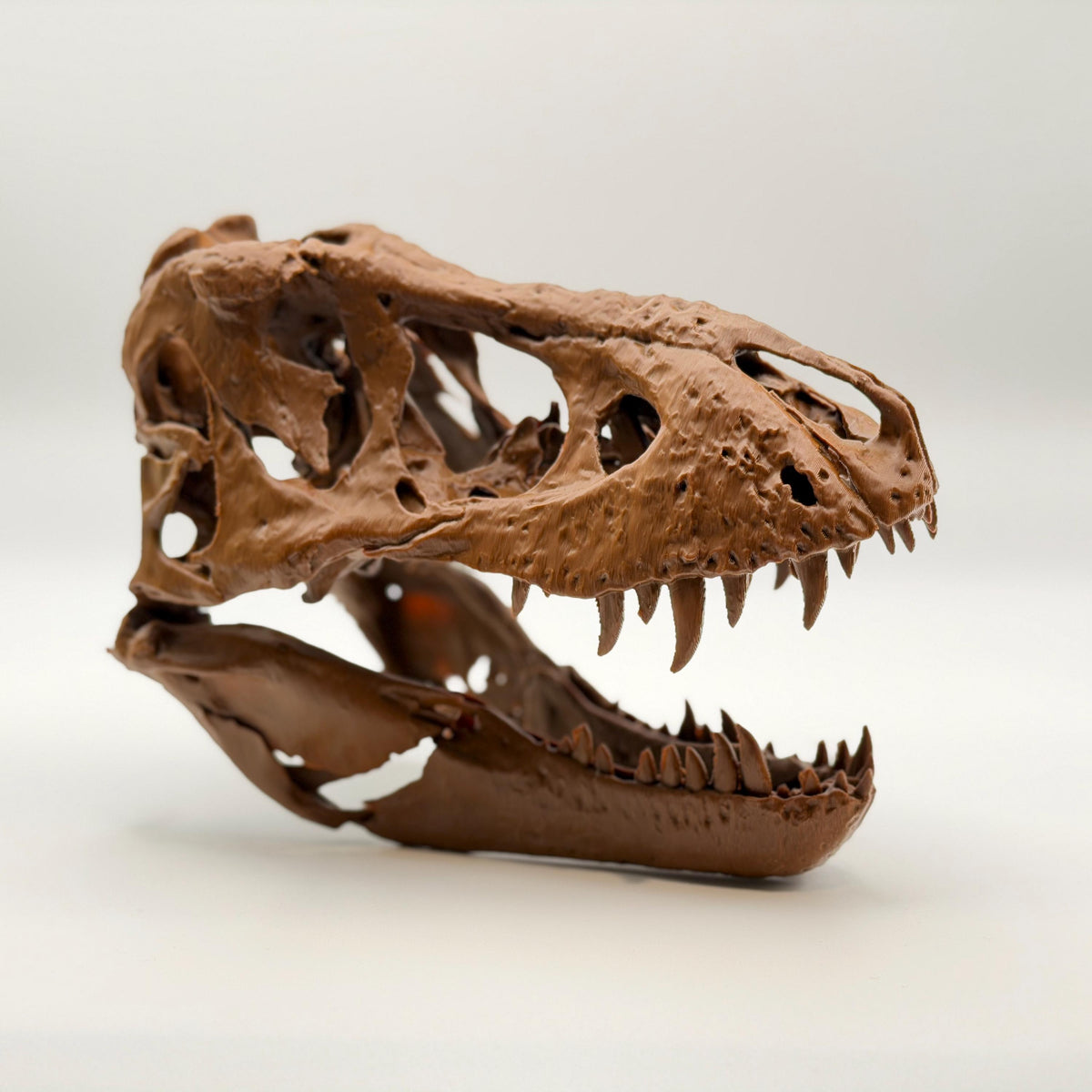 Trix T-Rex Skull Replica