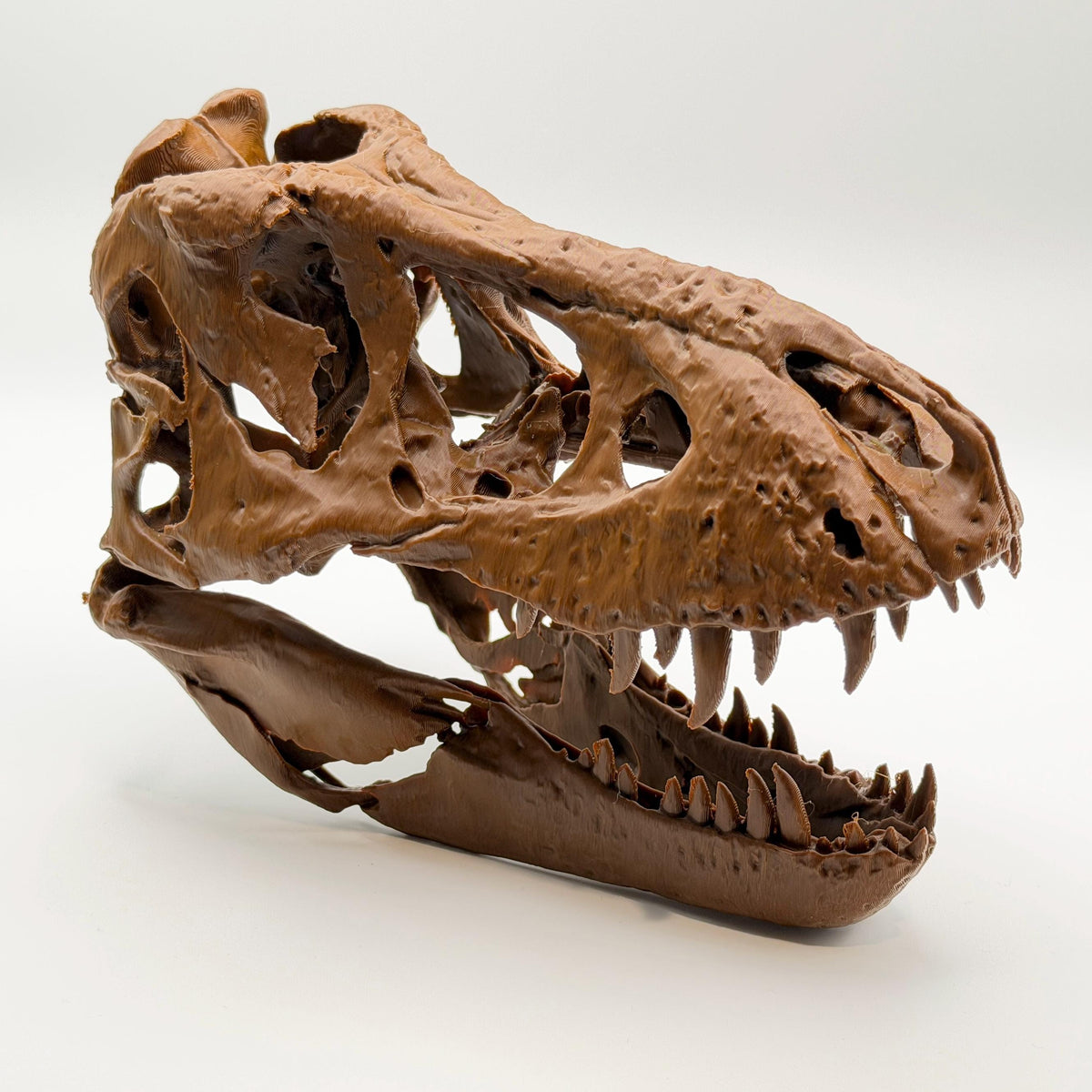 Trix T-Rex Skull Replica
