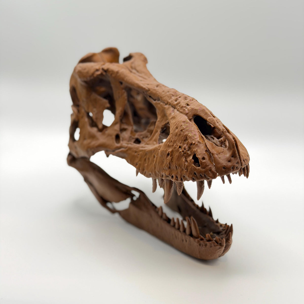 Trix T-Rex Skull Replica