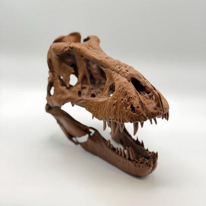 Trix T-Rex Skull Replica