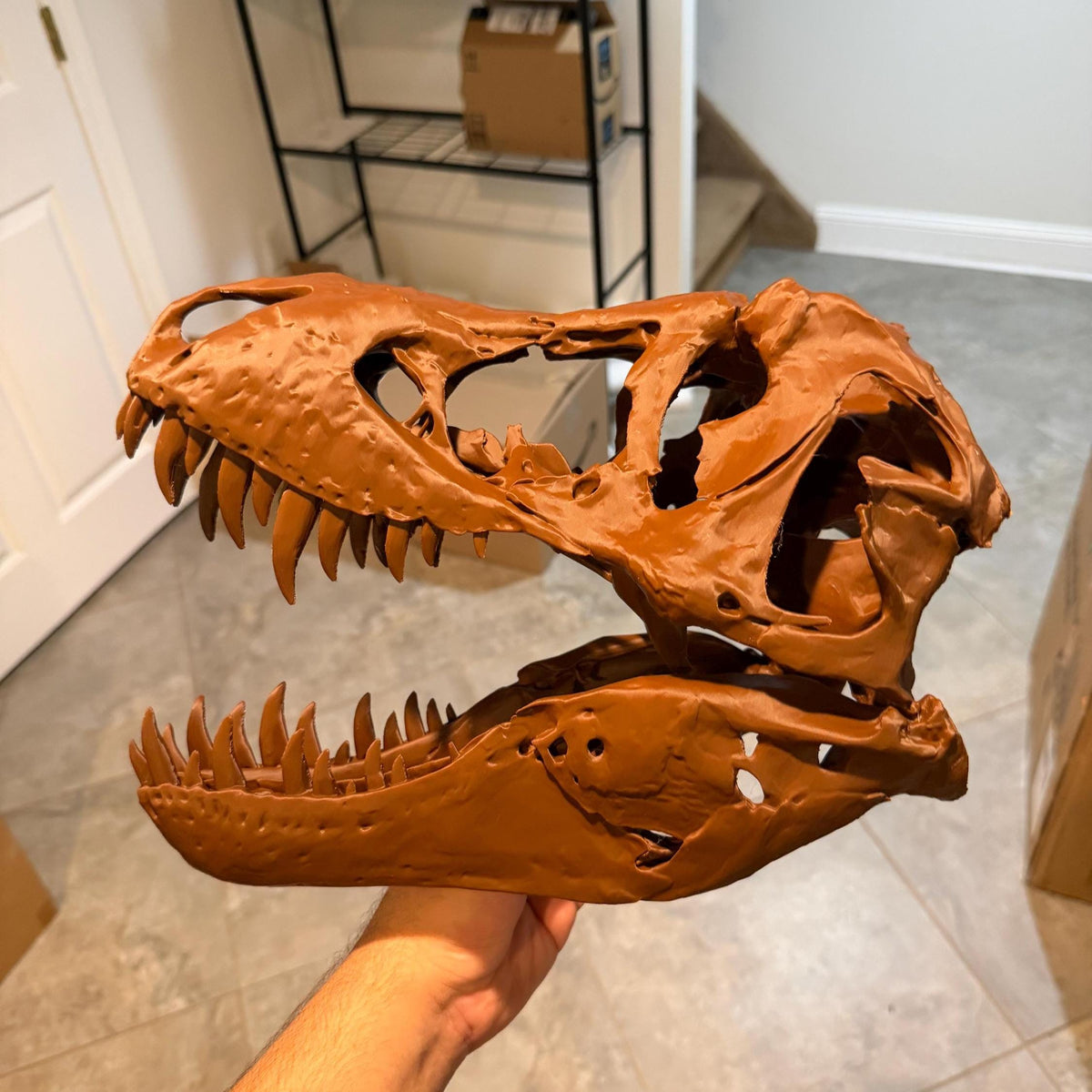 Stan T-Rex Skull Replica BHI 3033