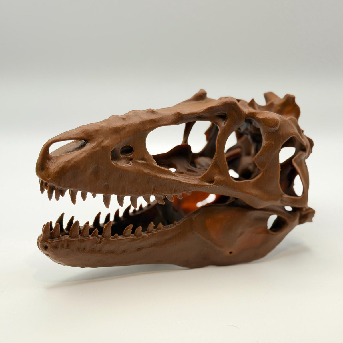 Teratophoneus Skull Replica
